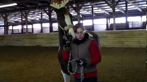 SDV 0064  Saying hello to Barbara, Buddy's Breeder...