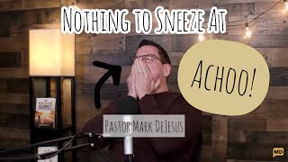 Nothing to Sneeze At (Sneeze Compilation)