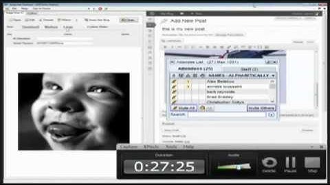 How To Host Multiple WordPress Domains For Free