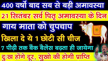 21 सितंबर सर्व पितृ अमावस्या और सूर्य ग्रहण के दिन गाय को खिला दे ये एक चीज - Pradeep ji mishra