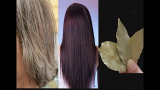 Graues Haar wird verschwinden - Natürliche Haarfarbe Rezept ! Graues Haar wird verschwinden - Natürliche Haarfarbe Rezept !