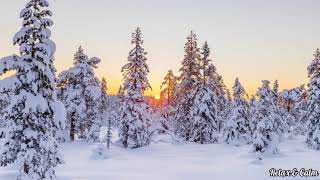 Soft Relaxing Piano Music | Relax Meditation Music | Snow Background | Calm Music screenshot 2