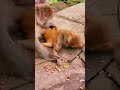 #shortsfeed #shortvideo