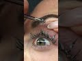 Removing Lashes | How to remove eyelashes extensions | Dirty Lashes | Not painful at all