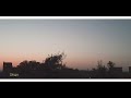 سبحت لله في العش الطيور