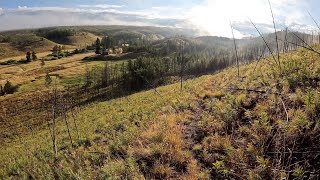 Hike the Cougar Cabin Trail - Yellowstone National Park