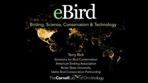 eBird - How to Use this Amazing Global Bird Database