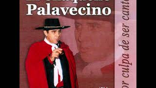 Video thumbnail of "El Chaqueño Palavecino - Chaco salteño (1991)"