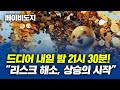 드디어 내일 밤 21시 30분! 베이비도지 &quot;리스크 해소, 상승의 시작&quot; #베이비도지코인호재 #베이비도지코인급등 #베이비도지코인시세