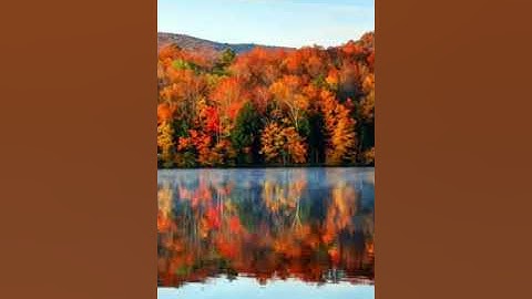 سورة "المرسلات "بصوت القارئ :محمد عبد الحكيم هائل