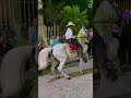 caballos#youtubeshorts #horse #viral #mexico #rancheras #caballos #regionalmexicano #pueblosvivos