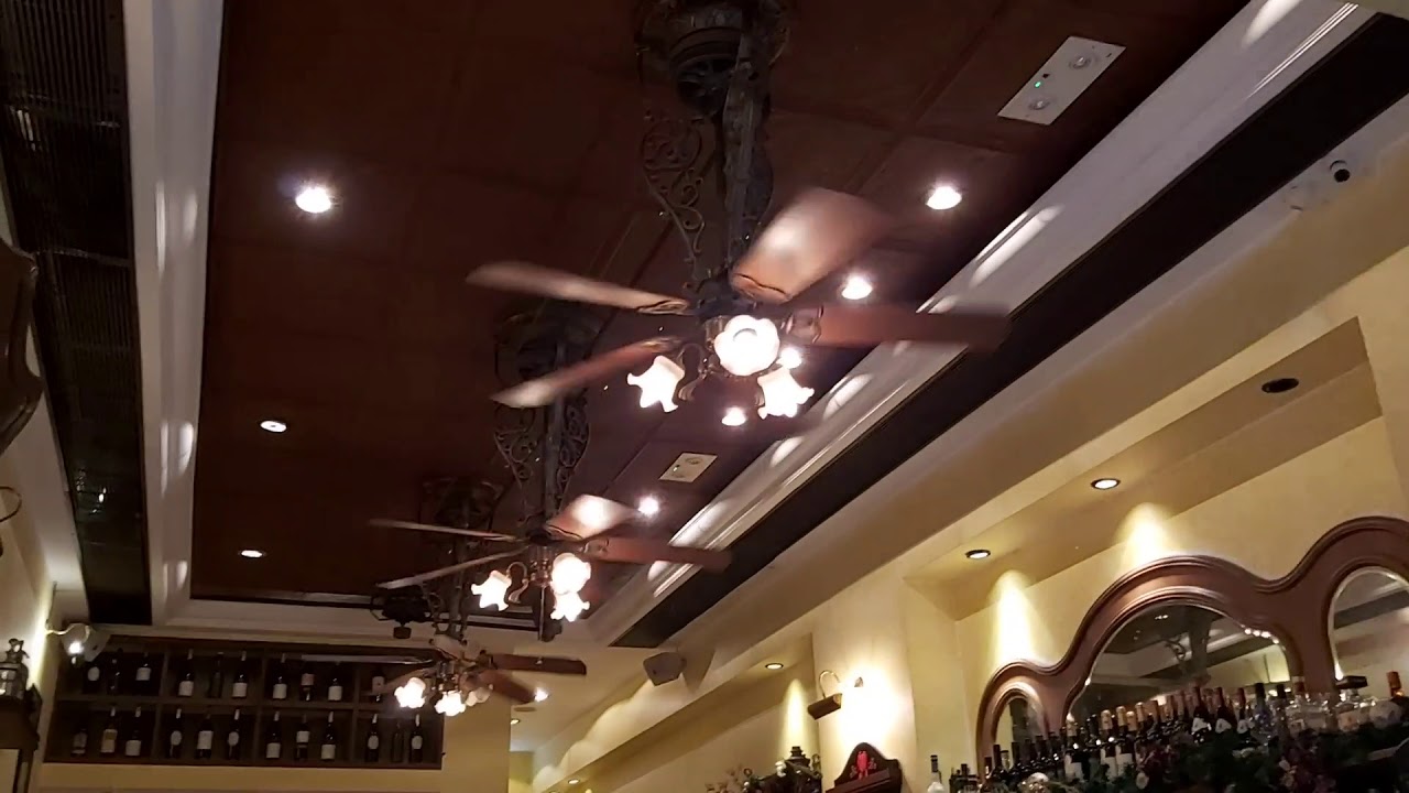 Ceiling Fan Sightings 57 Fanimation