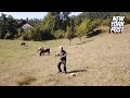 Frightened farmer tries to lasso a flying drone