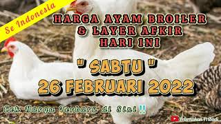 Harga DOC Ayam Broiler Hari Ini Rabu 23 Maret 2022. 