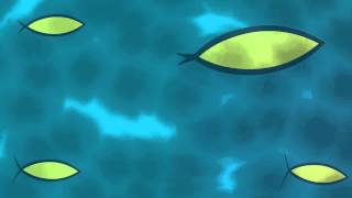 Find The Fish (Loop)