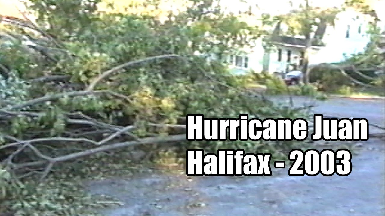 Results of Hurricane Juan In Halifax, 2003 YouTube
