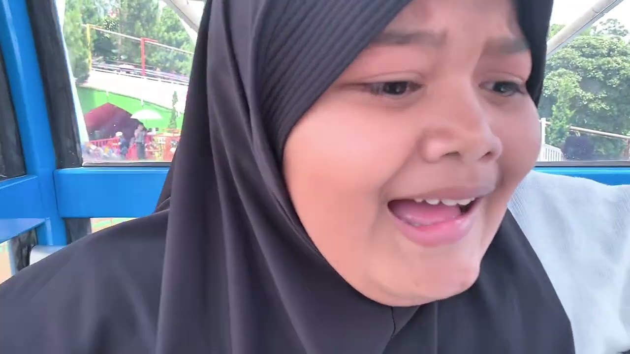 Celosia feels like a soft memory