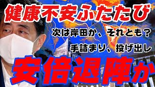 【退陣か？】安倍総理、健康不安説！持病の再発？2週連続で慶大病院入り。ポスト安倍の行方は？28日(金)記者会見【体調,石破茂,岸田文雄,麻生太郎,二階俊博,河野太郎】