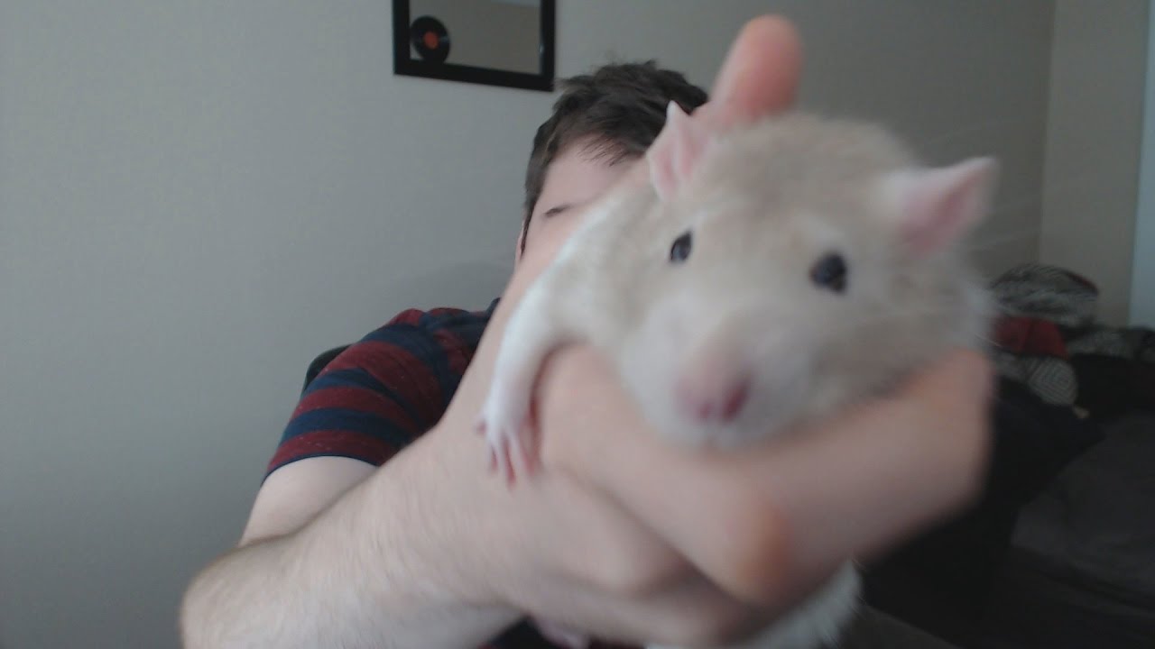 Blargh - 'Sup Saturdays