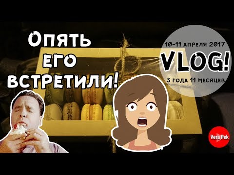 VLOG! ЖИВОТНЫЕ НА РАБОТЕ / МОЙ ЛЮБИМЫЙ ЖУРНАЛ / VERA PEK