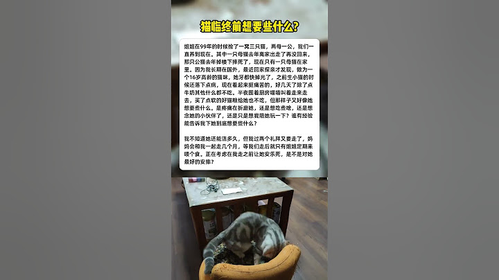 猫咪临终前想要什么？What do cats want before they die?#猫咪 #猫 #cat #pets