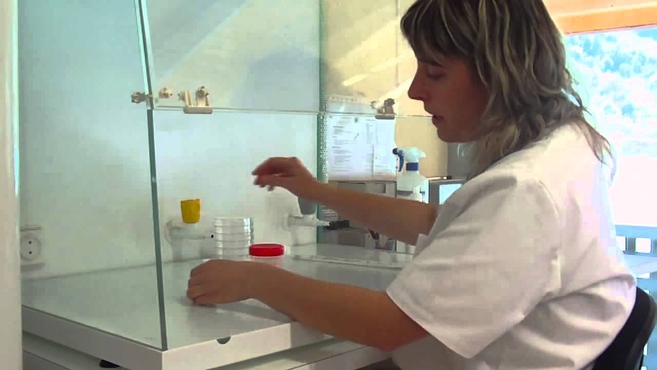 El control de qualitat de la llet de La Fageda