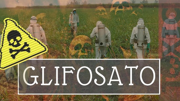 Glifosato ¿herbicida que no hace daño? - Ciencia UNAM