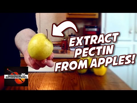 Extract Your Own PECTIN From APPLES!  (Homemade Pectin Recipe)  | Kitchen