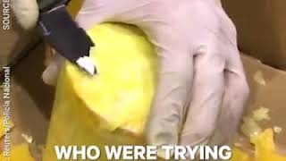 1,642 pounds of cocaine were found stashed inside of pineapples😱😱😱
