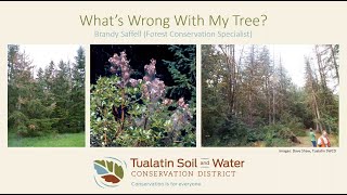 Detailed What's Wrong with My Tree? Details