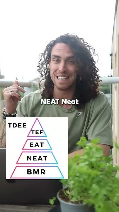 What is TDEE - YouTube