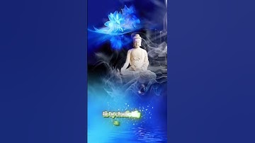 Tham - Nguồn Gốc Của Mọi Khổ Đau #loivangphatday #trietlycuocsong #hieuvathuong #songchamlai