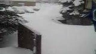 March 2008, Blizzard