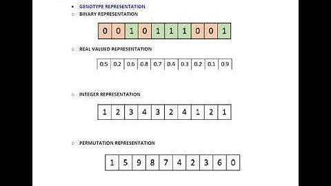 Genetic Algorithm_Part 2