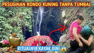 HUGE!! RONDO YELLOW PESUGIHAN WITHOUT SACRIFICES ON THE MOUNTAIN || often visited by people from ...