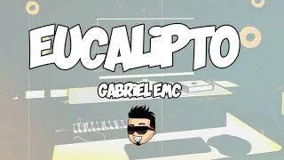 Video thumbnail of "EUCALIPTO (REMIX) @GabrielRodriguezEMC LUKIITAS DEEJAY"