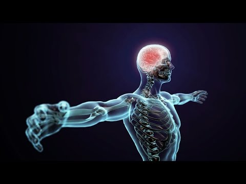 માનવ શરીરવિજ્ઞાન - સોમેટિક નર્વસ સિસ્ટમ