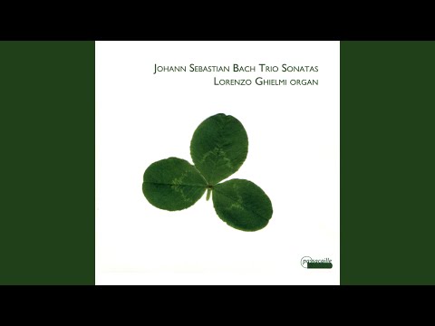 Watch Sonata in C Minor, BWV 526: Allegro (3) on YouTube