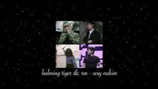 balming tiger & rm - sexy nukim (empty arena)