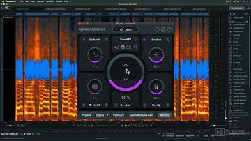 iZotope RX 10 100: RX 10