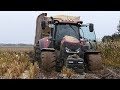 Case IH 300 Optum Working Too Hard During The Maize Season | Wide Tires & Mud | DK Agriculture