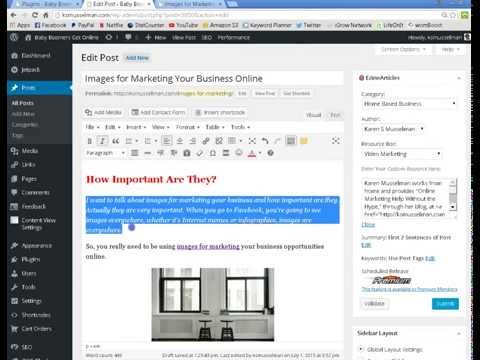How to Use TinyMCE Advanced