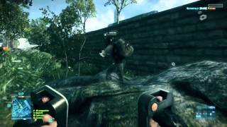 BF3 Beta Bug: Can't move