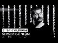 Sinan yldrm  serseri gnlm