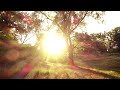 Sun goes dim and Sky turns black - an Ode to Jóhann Jóhannsson