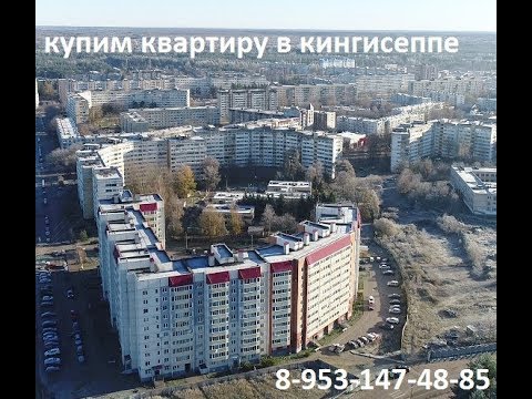 Кингисепп.ул Жукова-20.Вид сверху.