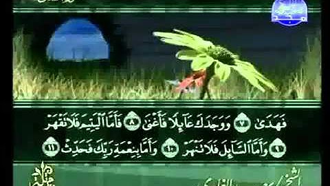 سعد الغامدي | سورة الضحى