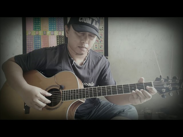 The Godfather theme song (fingerstyle cover) class=