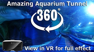 Amazing Aquarium Tunnel In 360 For Vr. See 360 Sharks In Virtual Reality