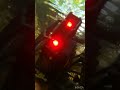 Traxxas Trx4 water test #rc #rccars #shortvideo #rccar #shorts #short #scale #custom